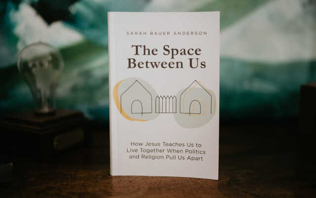the space between us by sarah bauer anderson